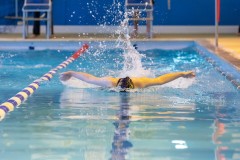 Swim Clinics & Workshops