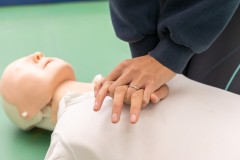 NPLQ Courses